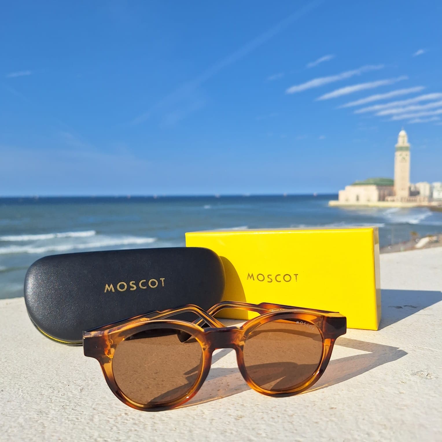 MOSCOT LEMTOSH SUN 2026 UV400